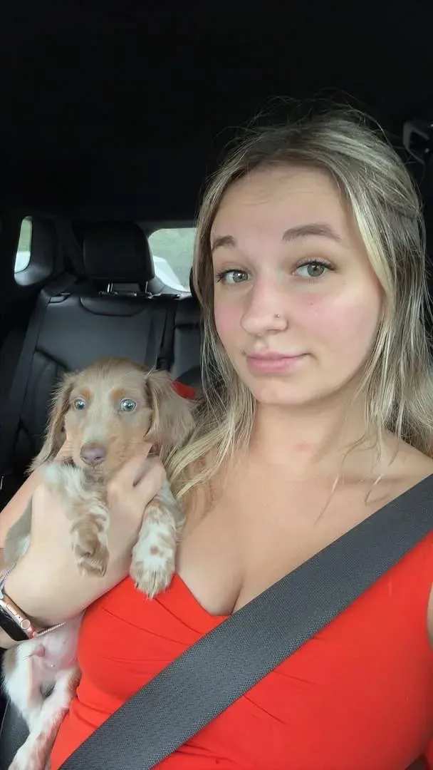 A family picking up their Miniature Dachshund puppy at Irish Rose Acres