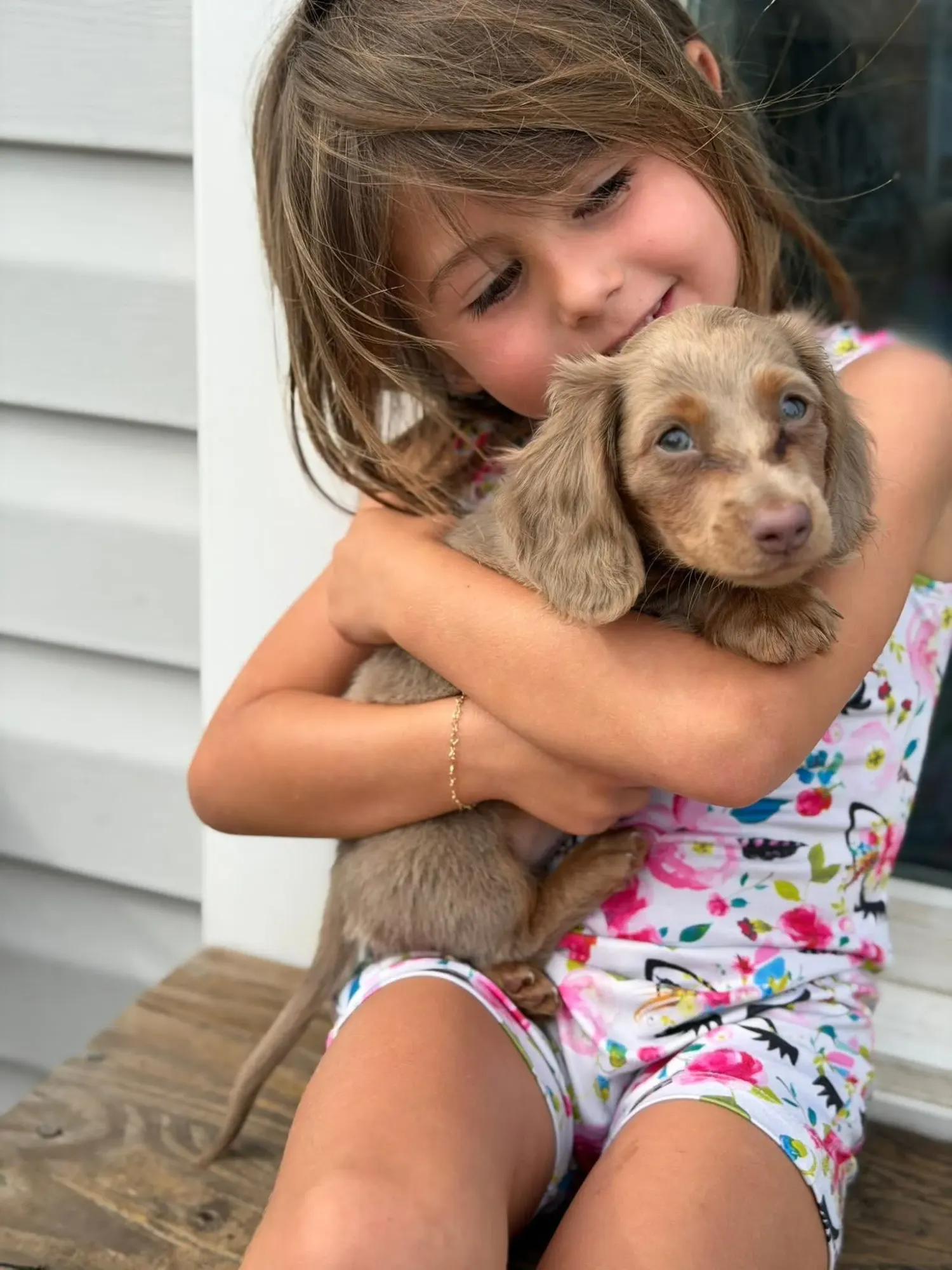 A little girl hugging her new longhair Miniature Dachshund puppy